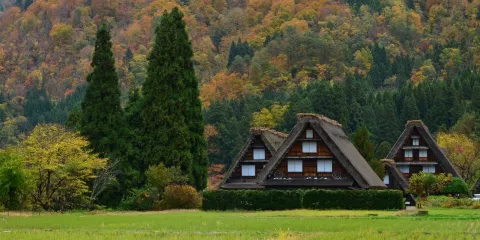 【濃飛巴士】高山 來回 白川鄉 高速巴士車票