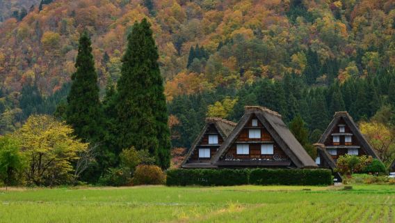 Express Bus Ticket: Takayama Shirakawa-go Section One-way/Round-trip