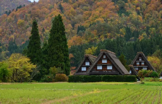 【濃飛巴士】高山 來回 白川鄉 高速巴士車票