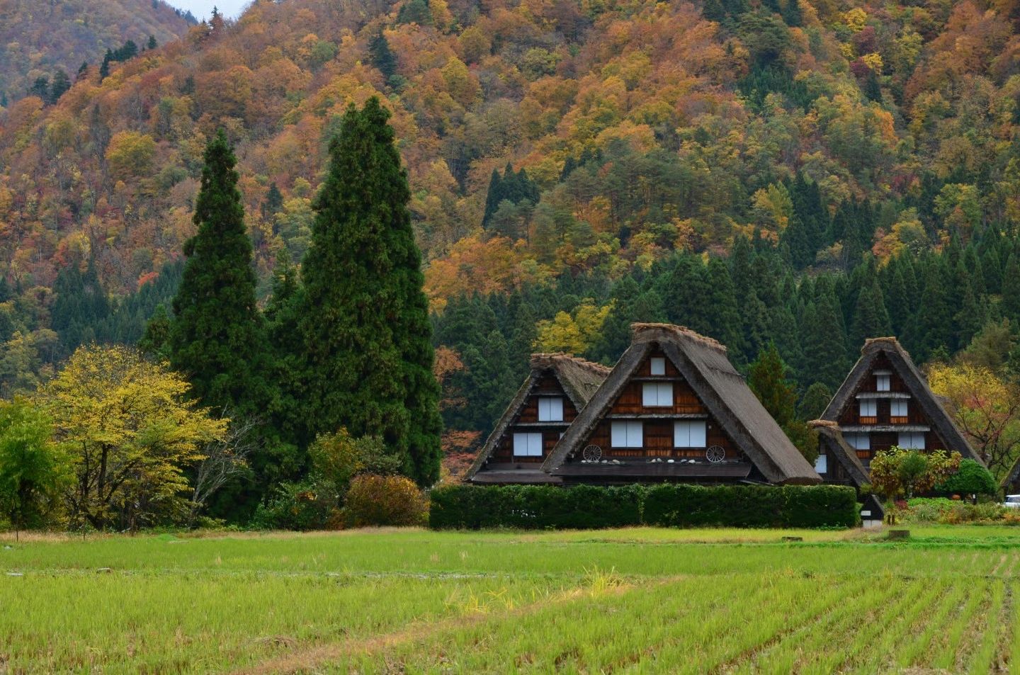 Express Bus Ticket: Takayama Shirakawa-go Section One-way/Round-trip