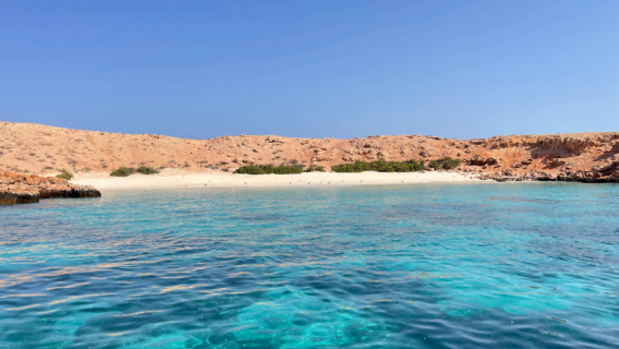 Reserva Natural de las Islas Daymaniyat en Mascate, Omán: Experiencia de buceo y snorkel de 4 horas