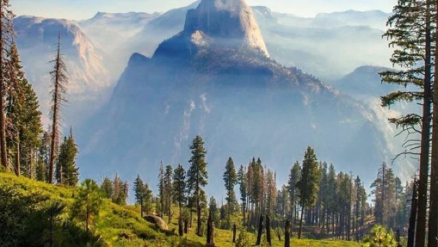 美國舊金山來回優勝美地國家公園一日遊12H-可包車-精選