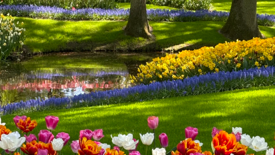 Netherlands local/Chinese-speaking guide/ground guide/business interpreter/seamless communication