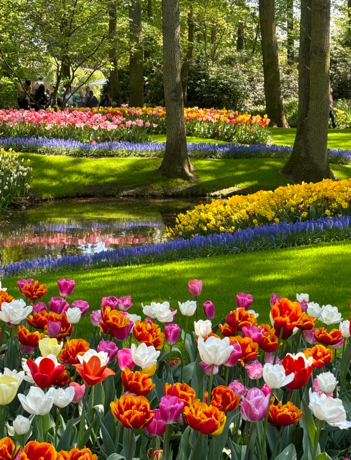 Netherlands local/Chinese-speaking guide/ground guide/business interpreter/seamless communication