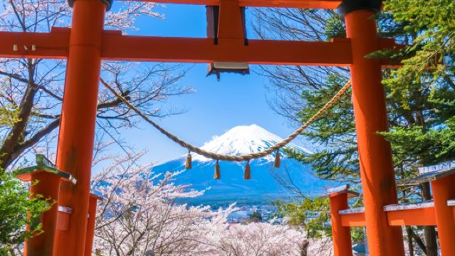 東京＋富士山＋忍野八海＋御殿場プレミアム・アウトレット / 木の花の湯温泉体験