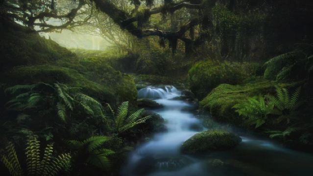 Sedan Chair Snow Mountain Group One-Day Tour: Witness Majestic Glacial Vistas in Kunming