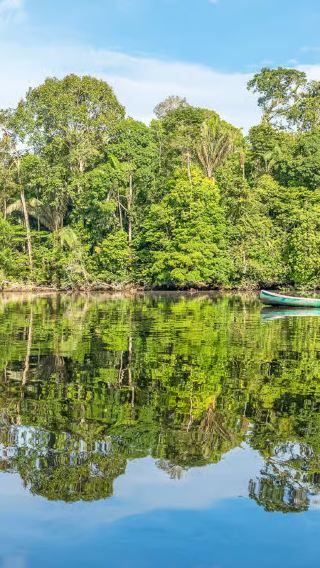1-day tour to the Amazon jungle from Manaus for 12 people with jungle trekking and pink dolphins