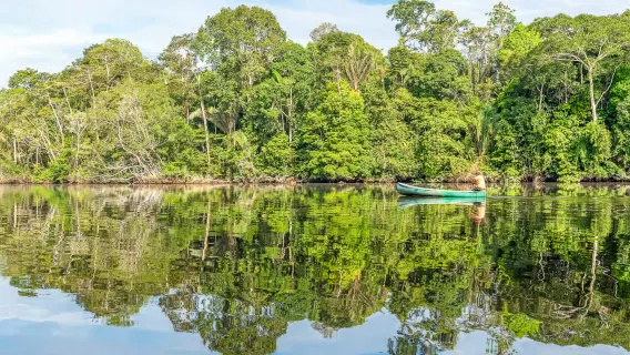 1-day tour to the Amazon jungle from Manaus for 12 people with jungle trekking and pink dolphins