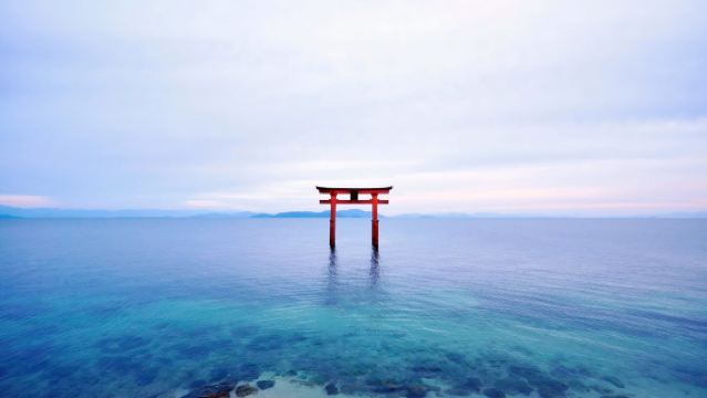 Excursion d'une journée au sanctuaire Shirahige du lac Biwa, au temple Sanzen-in, au pavillon flottant Mangetsu et à Omihachiman