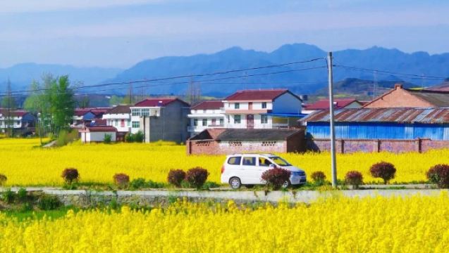 Lawatan Sehari 'Keindahan Hanzhong - Bunga Mekar di Kaunti Yang + Taman Pir Ibis Merah + Tasik Jinsha'