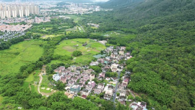 Eco-health and wellness day trip: Zhongshan Qixi Village + Hakka walled village + Agarwood Museum + Luosanmei Mountain