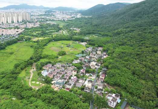 Eco-health and wellness day trip: Zhongshan Qixi Village + Hakka walled village + Agarwood Museum + Luosanmei Mountain