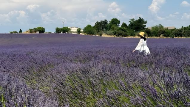 法國普羅旺斯限定夏季薰衣草經典：瓦朗索勒+陶瓷鎮+聖十字湖&