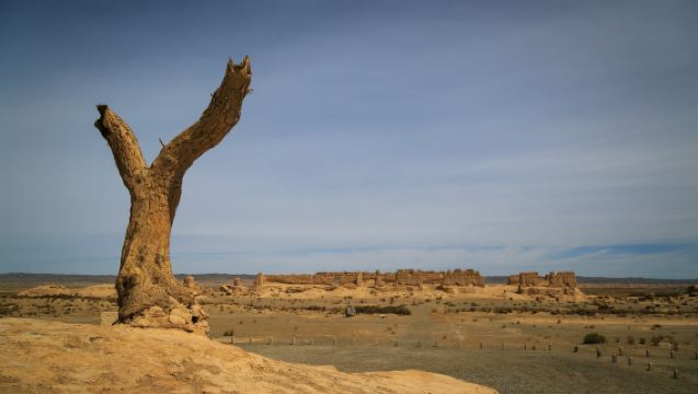 Tour privado de un día por los lugares más destacados de Dunhuang