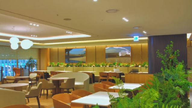 Lounge all'Aeroporto Internazionale di Seul-Incheon, Corea (Terminal 1/Terminal 2) | Esperienza in sala VIP per transiti e coincidenze | 3 ore di esperienza con ristorazione
