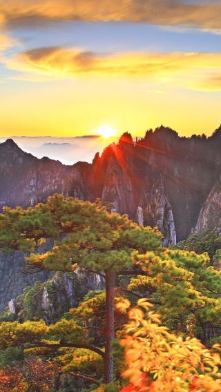 Huangshan Day Trip | Includes park admission ticket for easy exploration of this famous mountain / Pick-up service optional