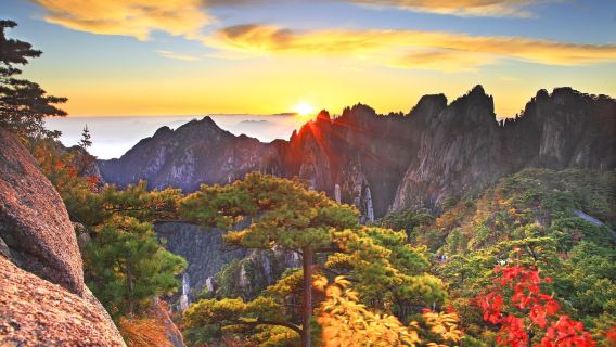 ทัวร์ 1 วัน ภูเขาหวงซาน | รวมตั๋วเข้าและบริการรถรับส่งสถานที่ท่องเที่ยว ท่องเที่ยวอย่างสะดวกสบายบนภูเขาอันเลื่องชื่อ