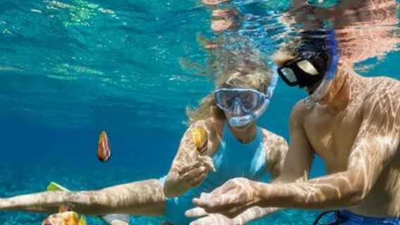Dagstur till Payar-ön i Langkawi, Malaysia [Kinesisk och engelsk guide/snorkling/dykning]