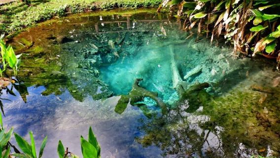 อุทยานแห่งชาติน้ำตกบัวตอง-น้ำพุเจ็ดสี Sticky Waterfall [ทัวร์ครึ่งวัน]