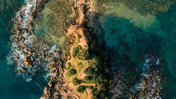 Transfer de ida e volta em Colombo: Torre do Relógio do Forte de Galle + Pescadores de estacas de Koggala [Traslado do hotel/não inclui ingresso]