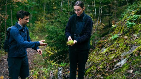 Stockholm: Hike, Forest Lunch, and Cold-Water Floating