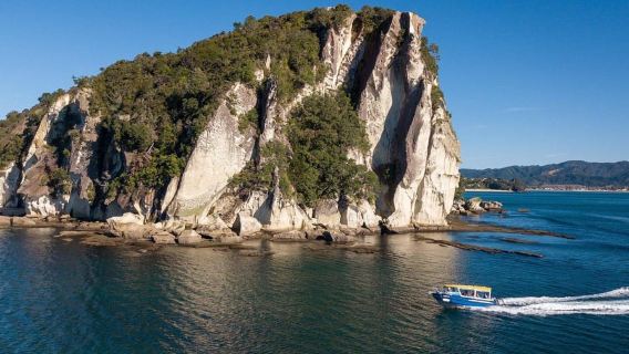 Whitianga: 2-Hour Glass Bottom Boat Cathedral Cove Tour