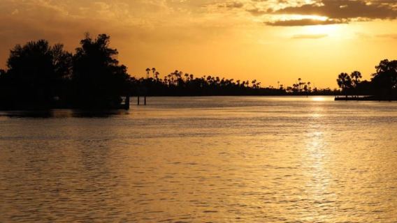 Crystal River: Manatee River Boat Tour with Naturalist Guide