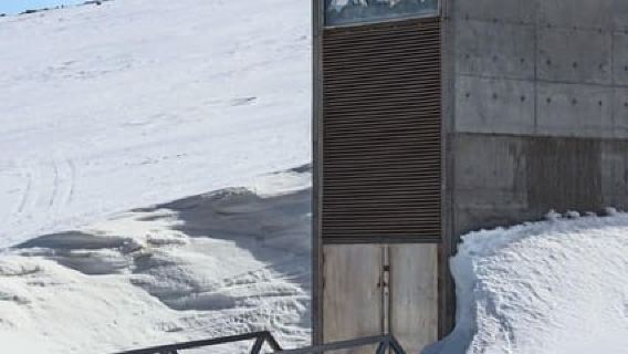 Longyearbyen: Svalbard Global Seed Vault Guided Walk