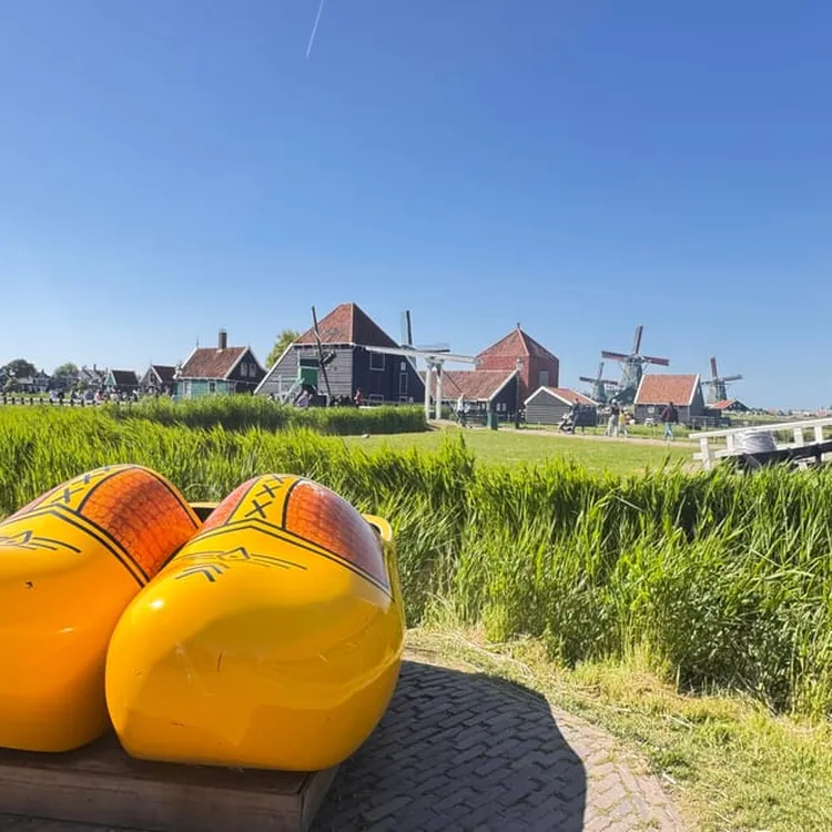 Amsterdam: Zaanse Schans Windmills & Zaandam E-Bike Tour | Trip.com