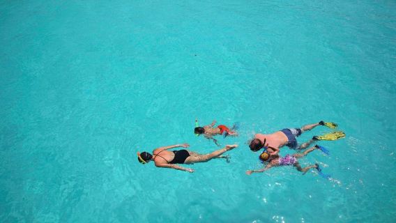 From Zanzibar: Mnemba Boat Tour with Snorkeling & Dolphine