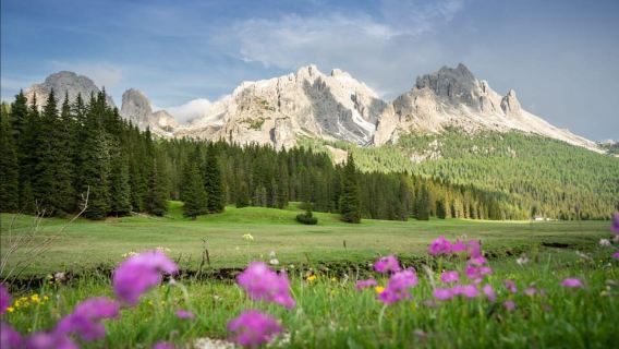 Dolomites Day Trip from Venice & Treviso: Top & Hidden Gems