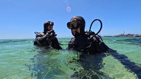 Cape Town: Scuba Diving Experience for Beginners