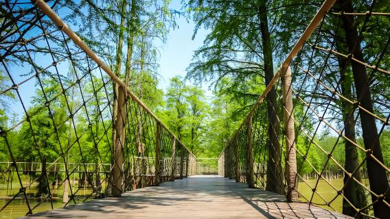 Excursión privada de un día con guía desde Hangzhou al Lago Qingshan y al Museo de Lin'an [servicio de chófer privado + entradas]