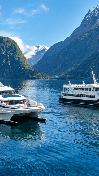 Milford Sound / Piopiotahi 1-day tour | Jewel/Princess cruise | optional bus to | return by small plane