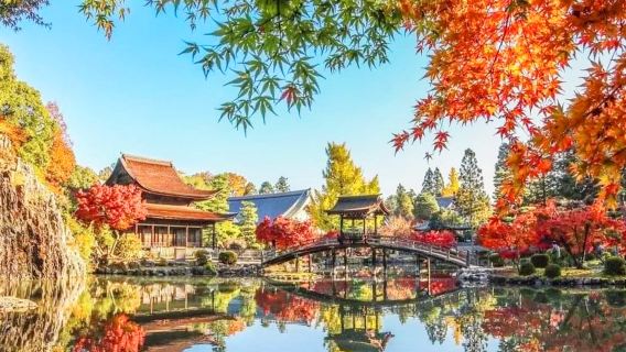 名古屋 虎溪山永保寺+香嵐溪+小原四季櫻一日遊，秋季限定路線