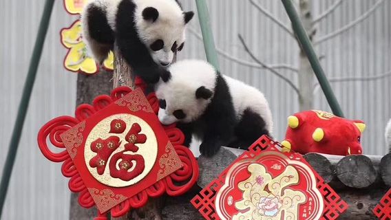 ChengduTours