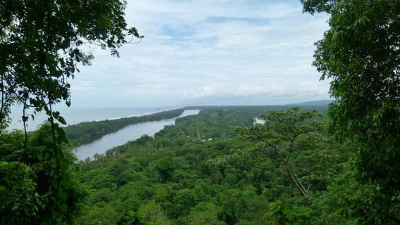 Tortuguero