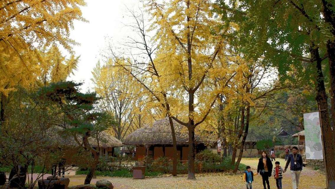 Private Day Trip to Korean Folk Village and Hwaseong Fortress