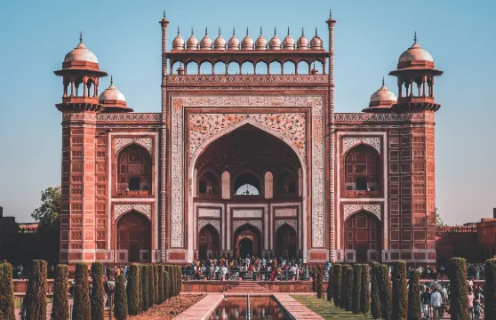 德里出發8天金三角之旅連倫滕博爾老虎狩獵體驗