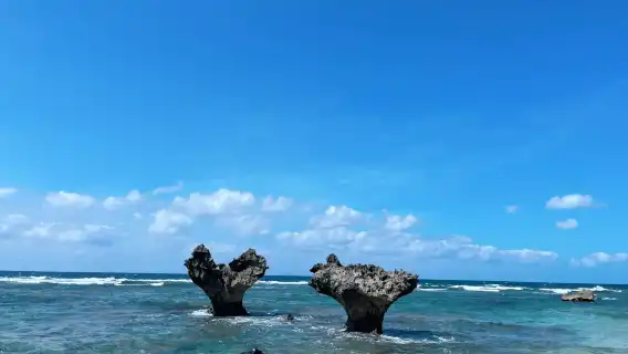 沖繩北部一日遊·美麗海水族館【9人/巴士團】可飯店接駁可贈票