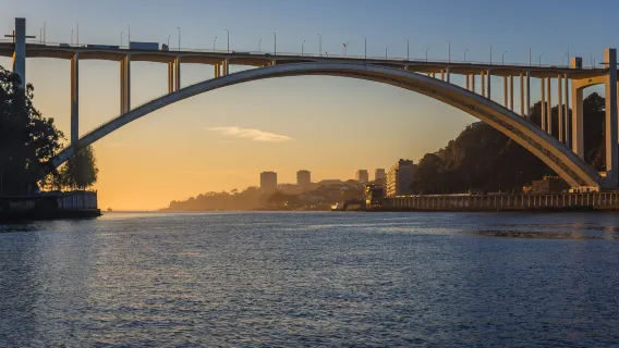 Gray Line 48h + Douro River