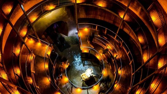 New Zealand Ruakuri Caves + Otorohanga Kiwi House & Native Bird Park one-day tour