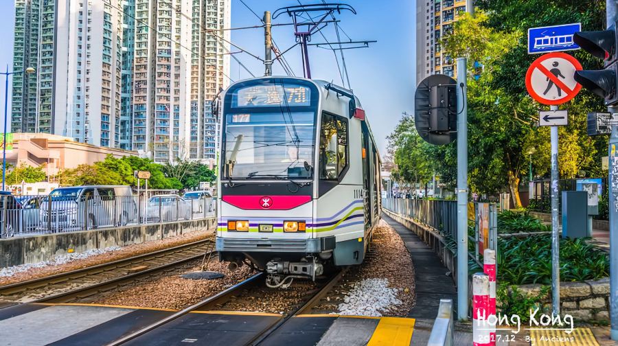 香港一日遊/廣東多出發來回/10小時埃爾法包車一口價