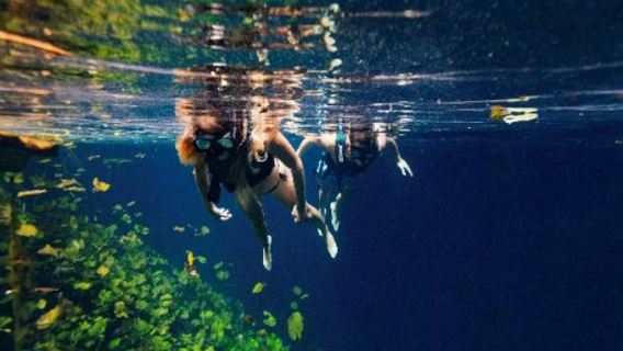 Xenotes Oasis Maya Park: Tiket Masuk & Transportasi