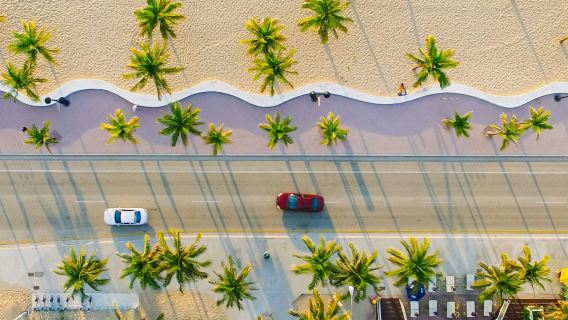 Miami: Small Group Guided City Tour + Everglades Airboat Ride