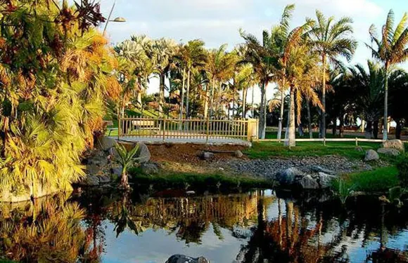 聖克魯斯-德特內里費棕櫚園：入場門票小童