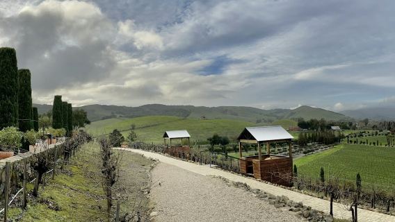 จากซานฟรานซิสโก: ทัวร์ไร่องุ่นครึ่งวัน