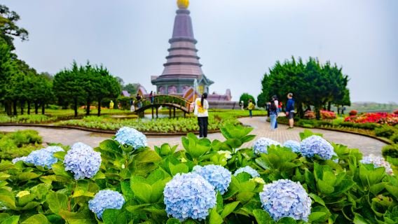 Chiang MaiExperiences