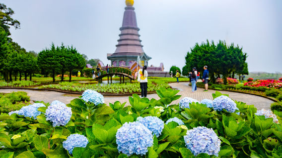 Chiang MaiTravel Services