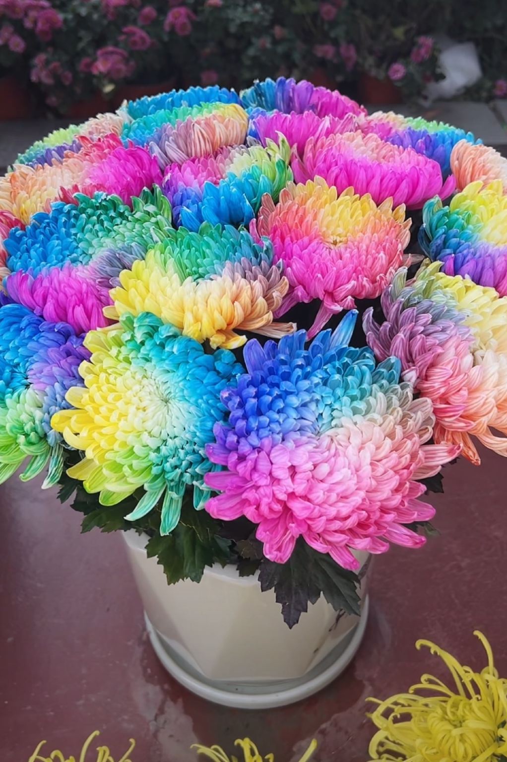 Kaifeng China Chrysanthemum Culture Festival - In-depth Guide and Local Experience